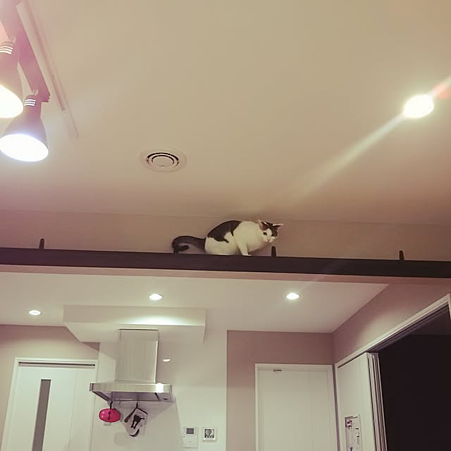 sunnyさんの実例写真