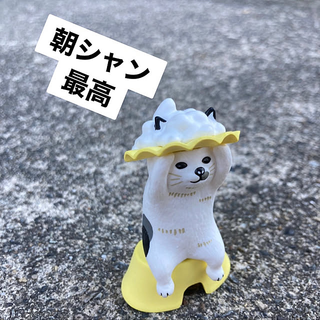 manduonmaさんの実例写真