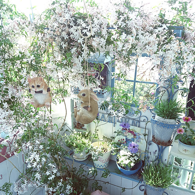 ruruさんの実例写真