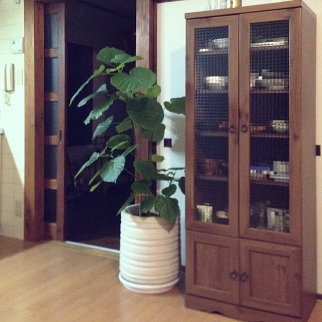 shiraiさんの実例写真
