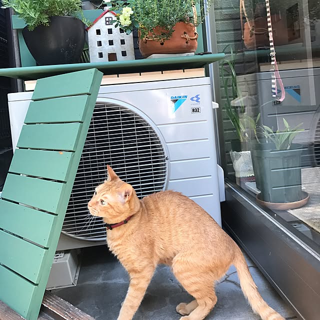 sakiさんの実例写真