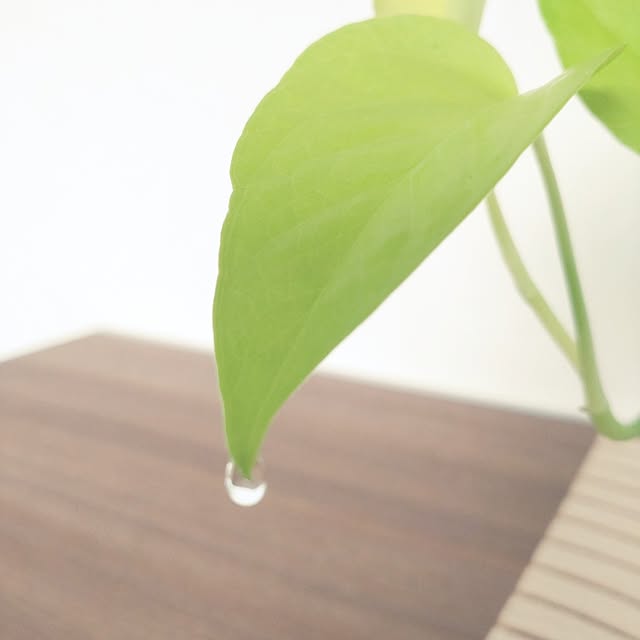 tan5さんの部屋