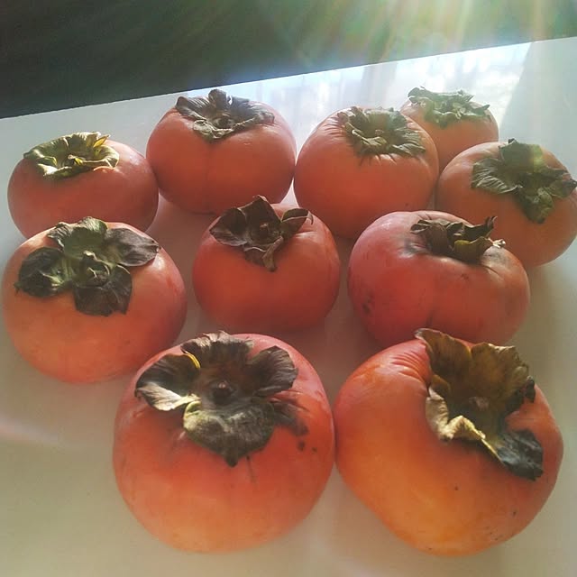 tomo3さんの実例写真