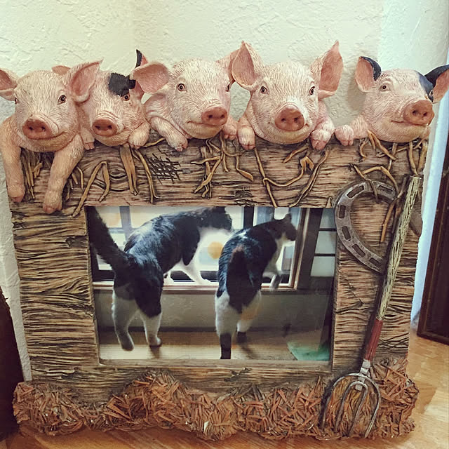 Yoshikoppiさんの実例写真