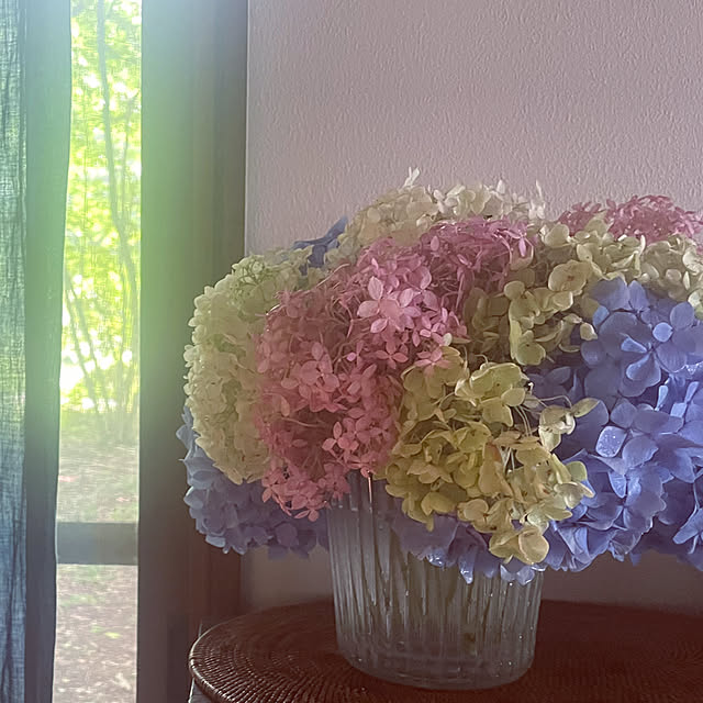 marucoさんの部屋