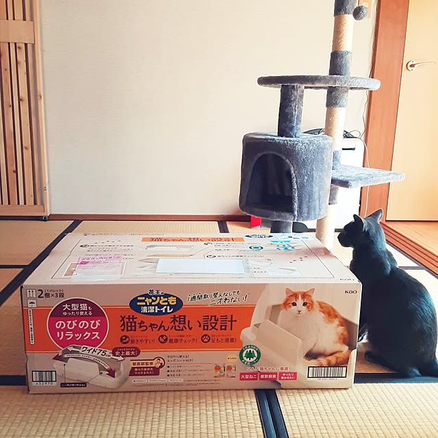 meguさんの実例写真
