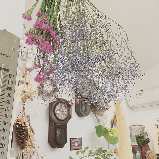 karinaさんの実例写真