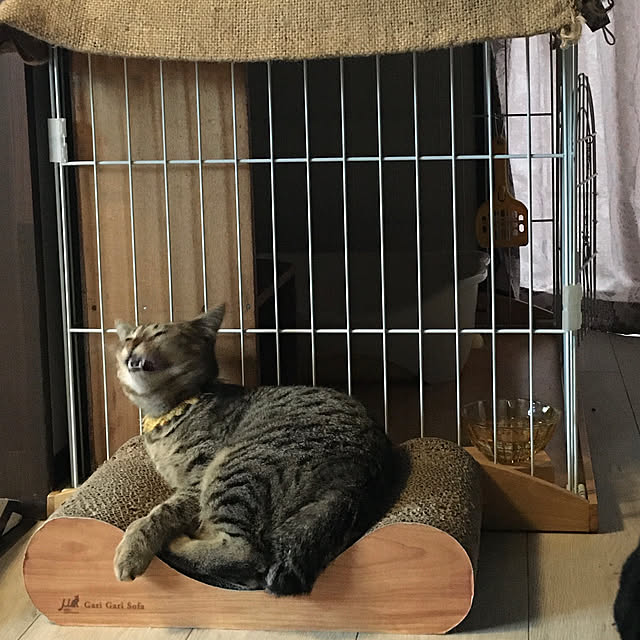 Mさんの実例写真