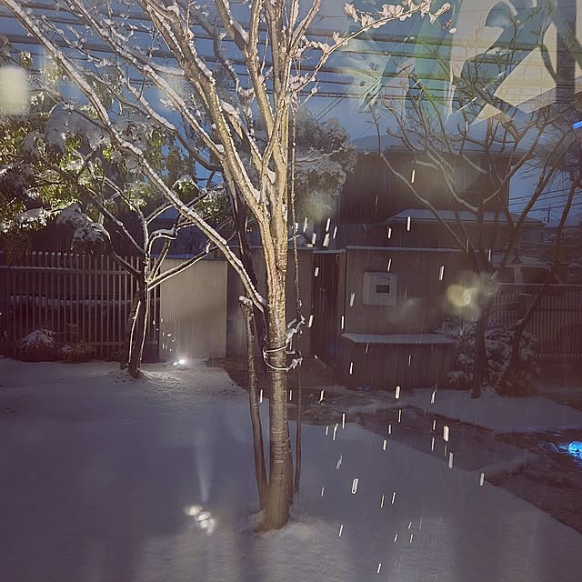 mutyukingさんの実例写真