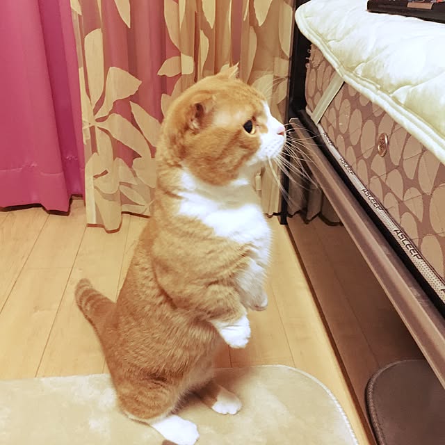 tajm93さんの実例写真