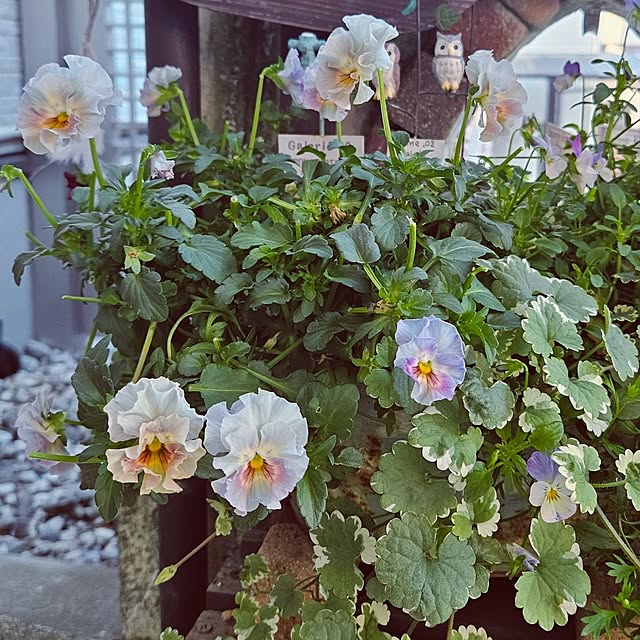 mocomocoさんの部屋