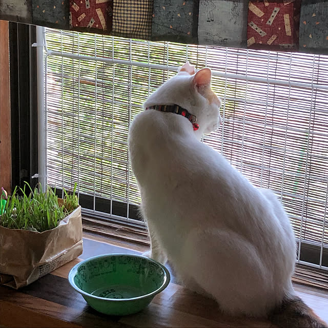 kaeruさんの実例写真