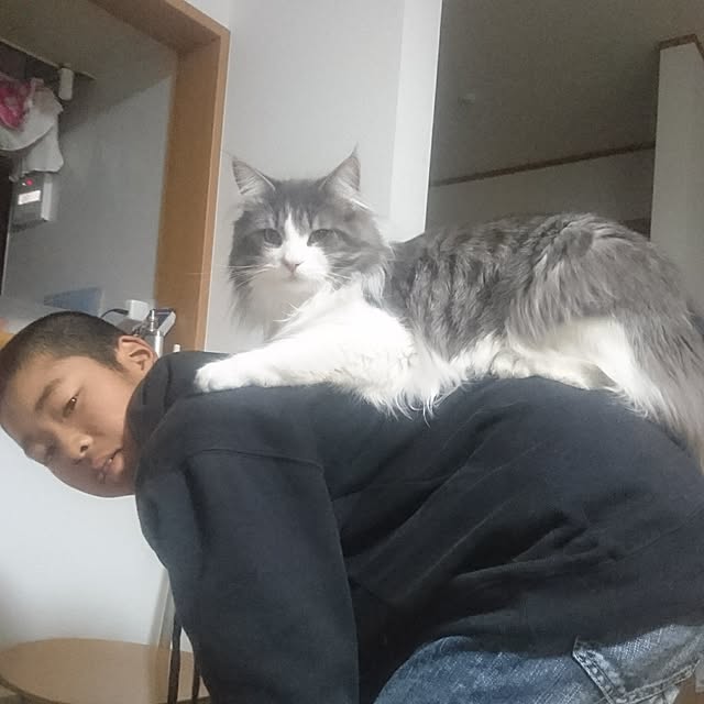 shinobuさんの実例写真