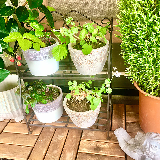 naokoさんの部屋