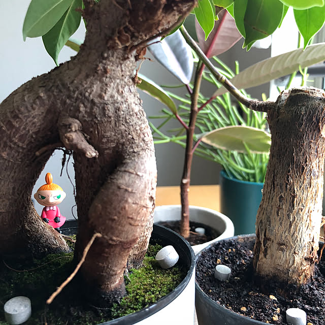 eriさんの部屋