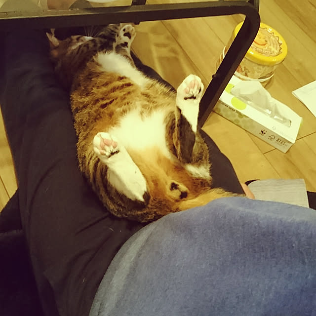 shiiiさんの実例写真