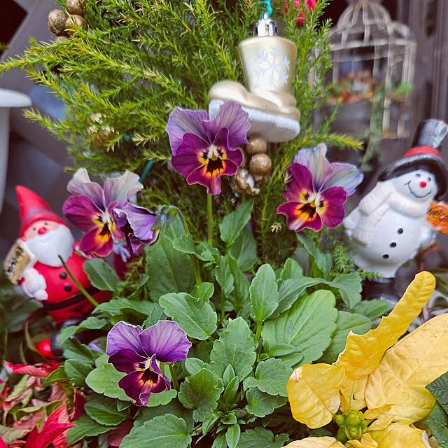 mocomocoさんの部屋