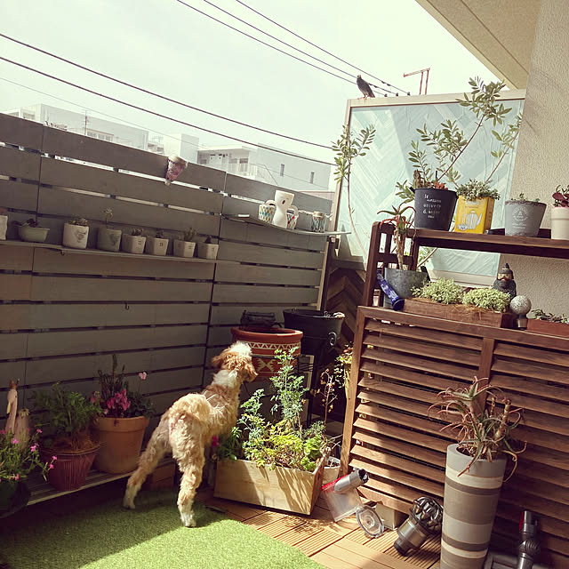 marukoさんの実例写真
