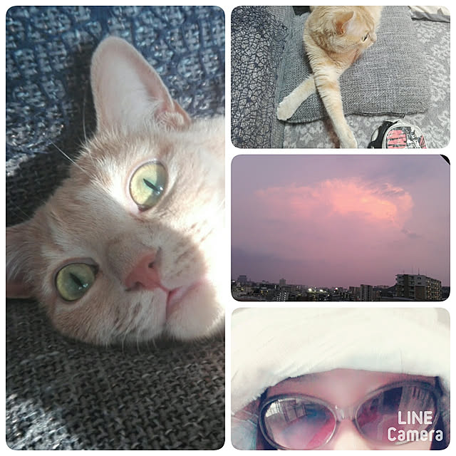 nana.maroさんの実例写真