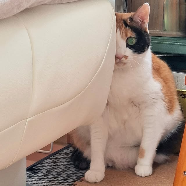 nanaさんの部屋