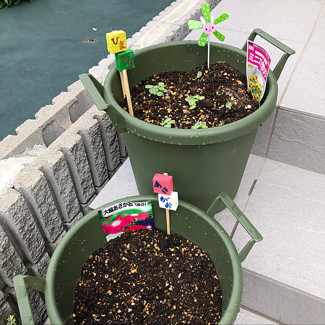 Sakikoさんの実例写真