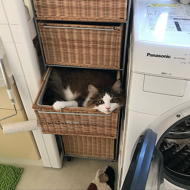 a-m-aさんの実例写真