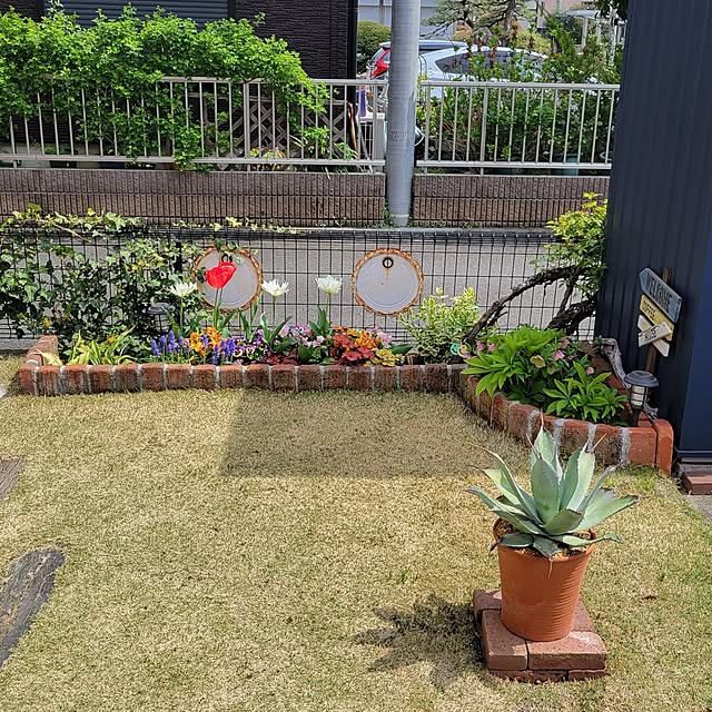 部屋全体/ガーデニングが好き/狭小住宅/建て売り一戸建て/アメリカン...などのインテリア実例 - 2023-04-03 21:32:11