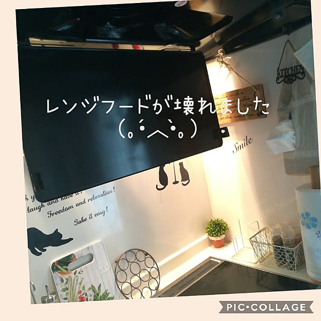 akanegumoさんの実例写真
