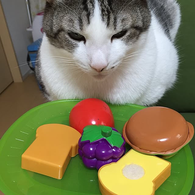 nanonさんの実例写真