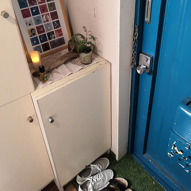 玄関/入り口/照明/観葉植物/一人暮らし/男前...などのインテリア実例 - 2020-01-19 01:07:09