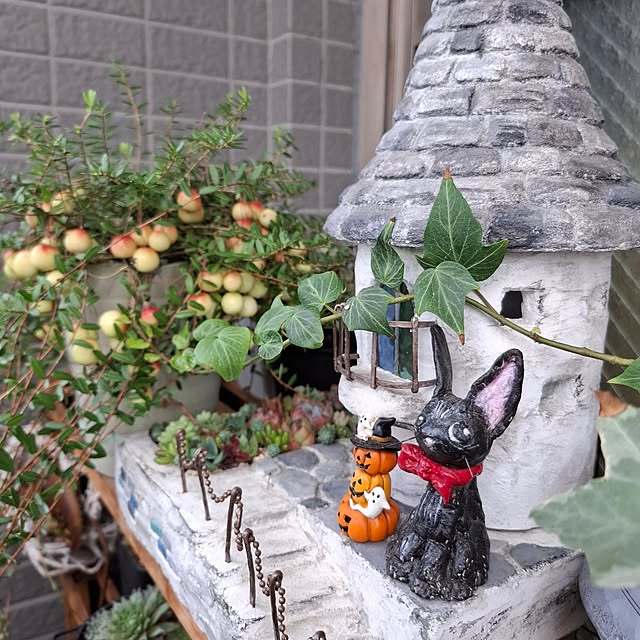 noaさんの実例写真
