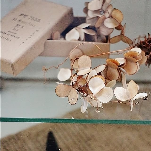 takimoto-manamiさんの実例写真