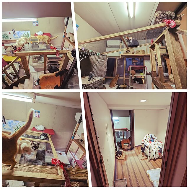 uchizukonyanさんの実例写真