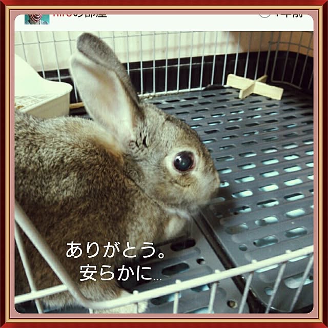 hiroさんの実例写真