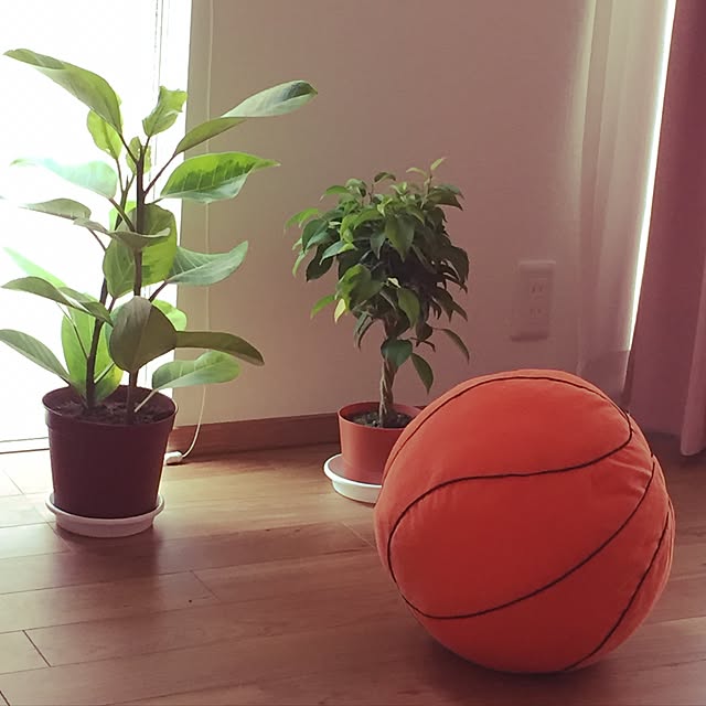 soaqr215さんの実例写真