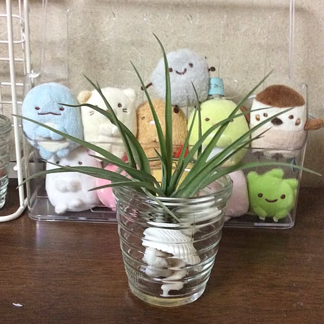 maki315さんの実例写真