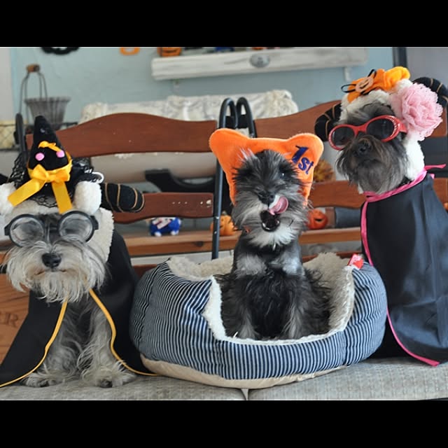 satobonmamaさんの実例写真
