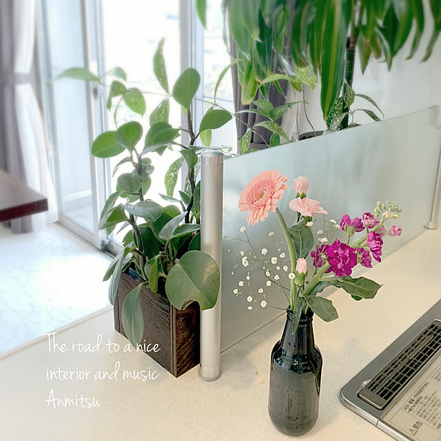 グリーンのある暮らし/グリーン/お花の定期便/植物のある暮らし/キッチンのインテリア実例 - 2021-04-08 23:45:19