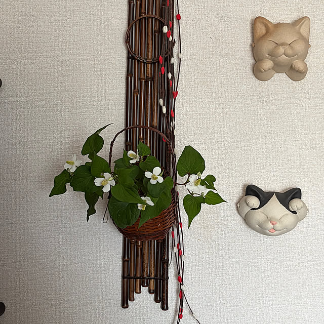 ritsukoさんの部屋