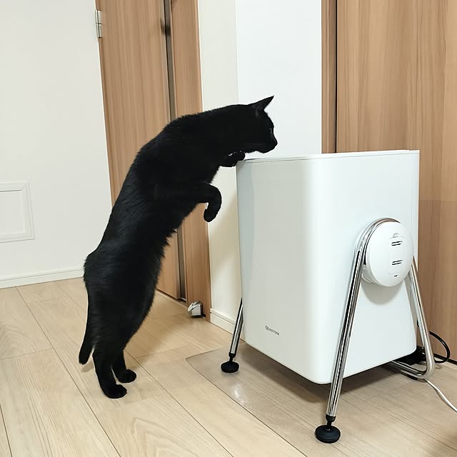 sakuraさんの部屋