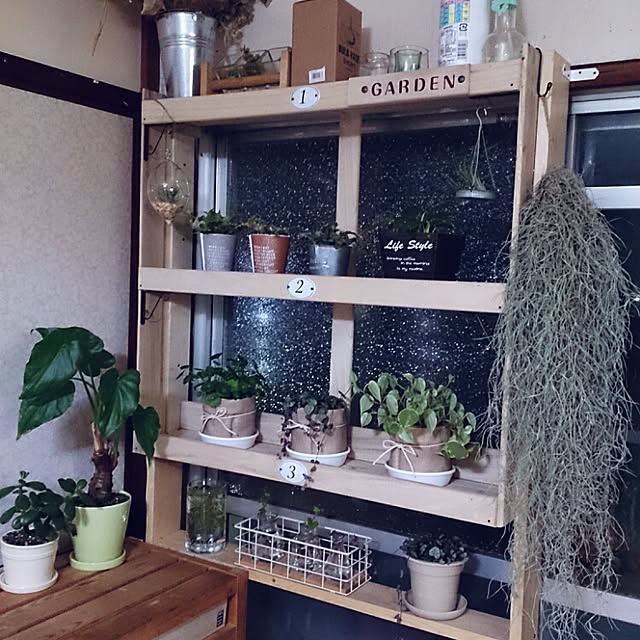 miporin0711さんの実例写真