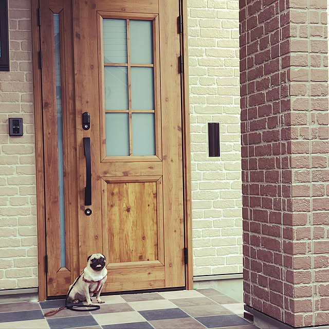 amepuliさんの実例写真