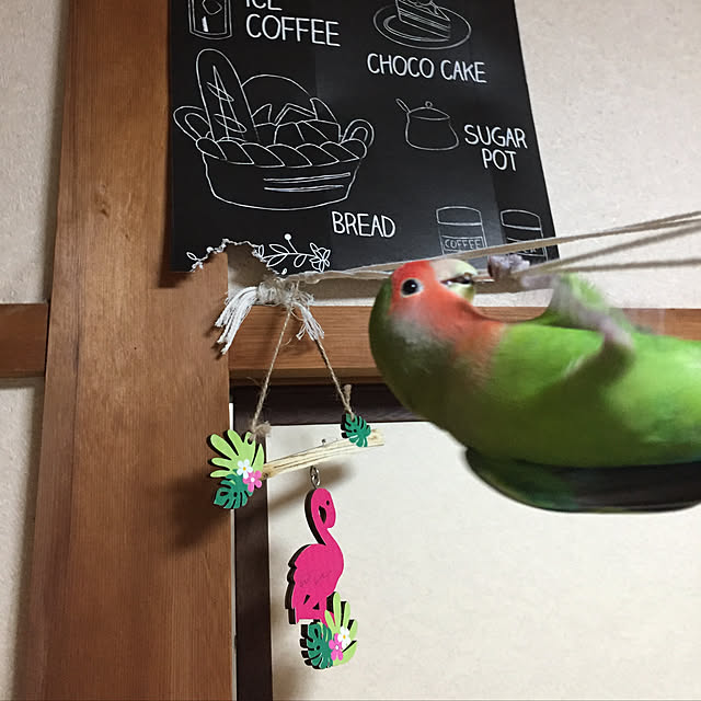 toratanさんの実例写真