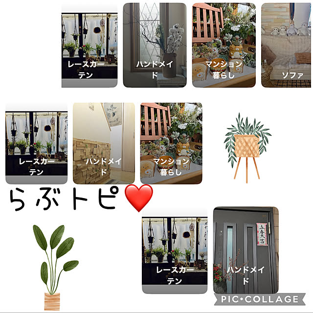 CoCo0617さんの実例写真