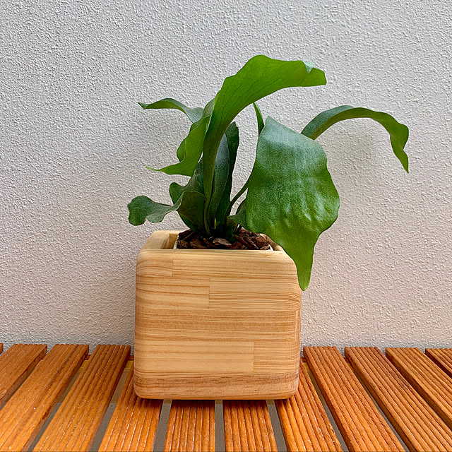 monkichiさんの実例写真