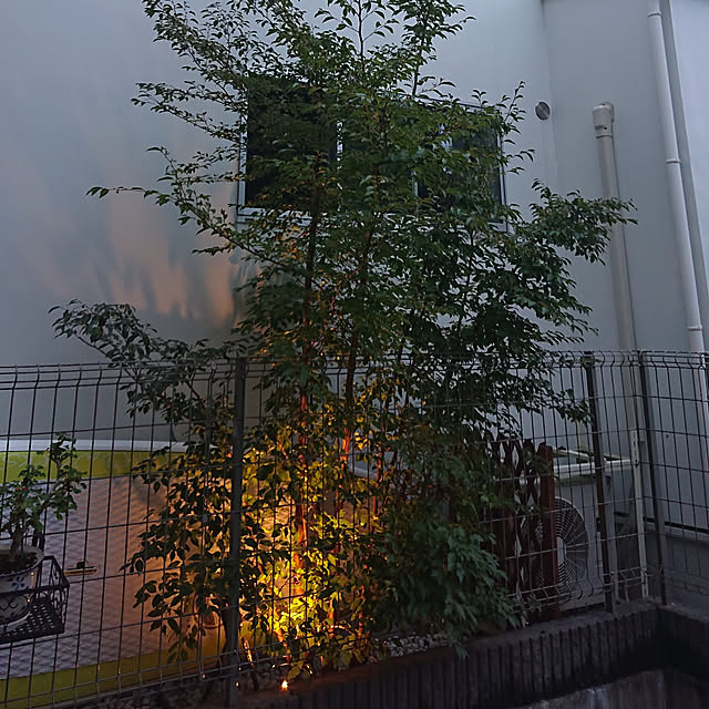 Shigetoshiさんの実例写真