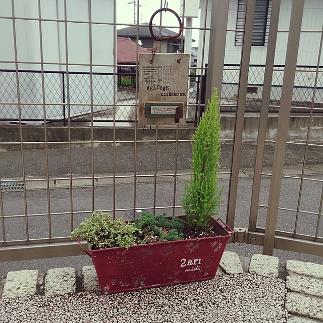実例写真