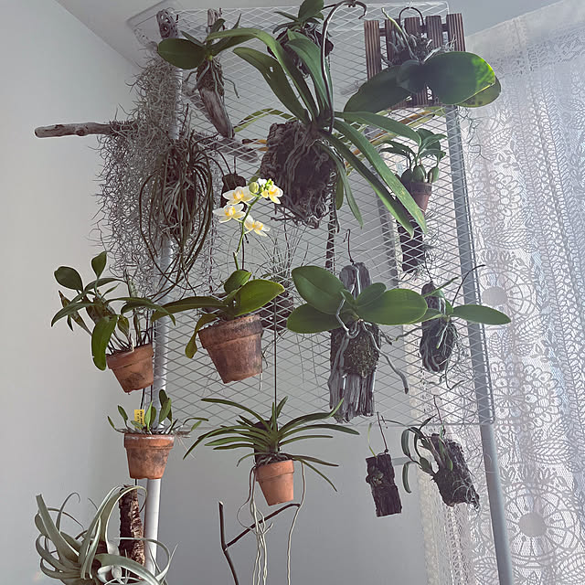 Mikiさんの部屋