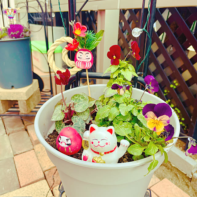 Maiさんの実例写真