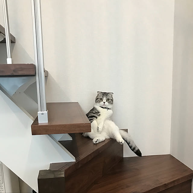 Dahliaさんの実例写真